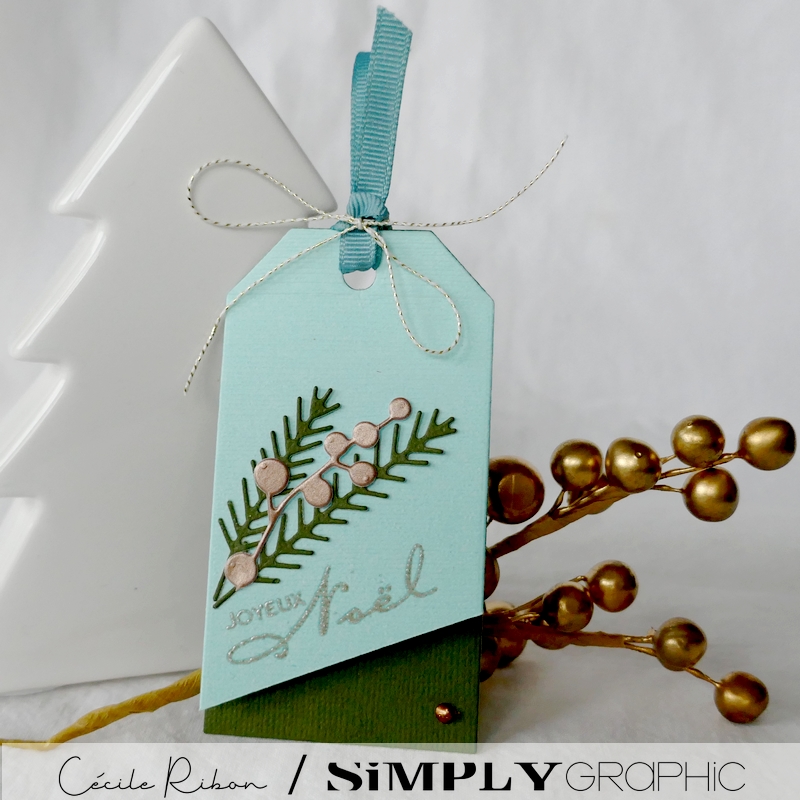 Carte SGAvent06 - P1280956