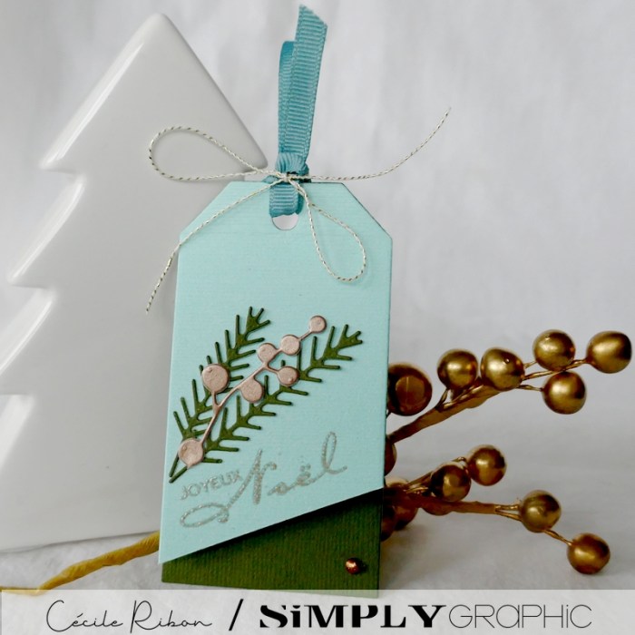 Carte SGAvent06 - P1280956