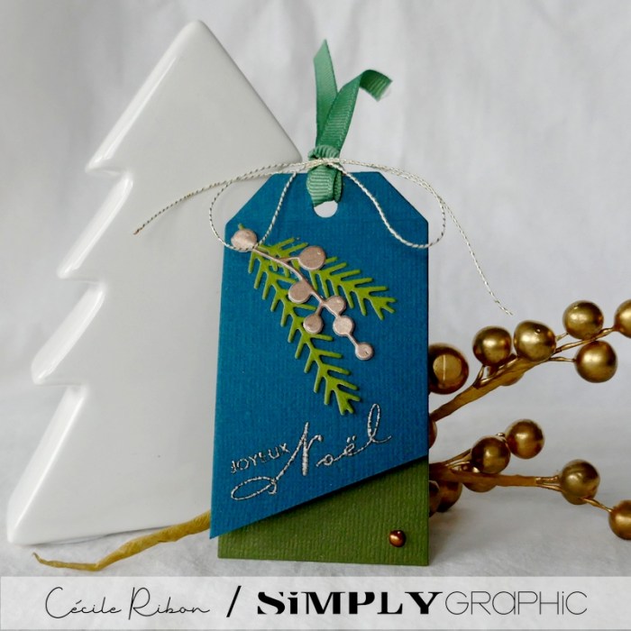 Carte SGAvent06 - P1280967