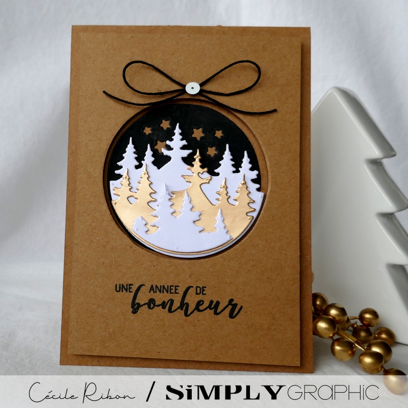 Carte SGAvent08 - P1290043