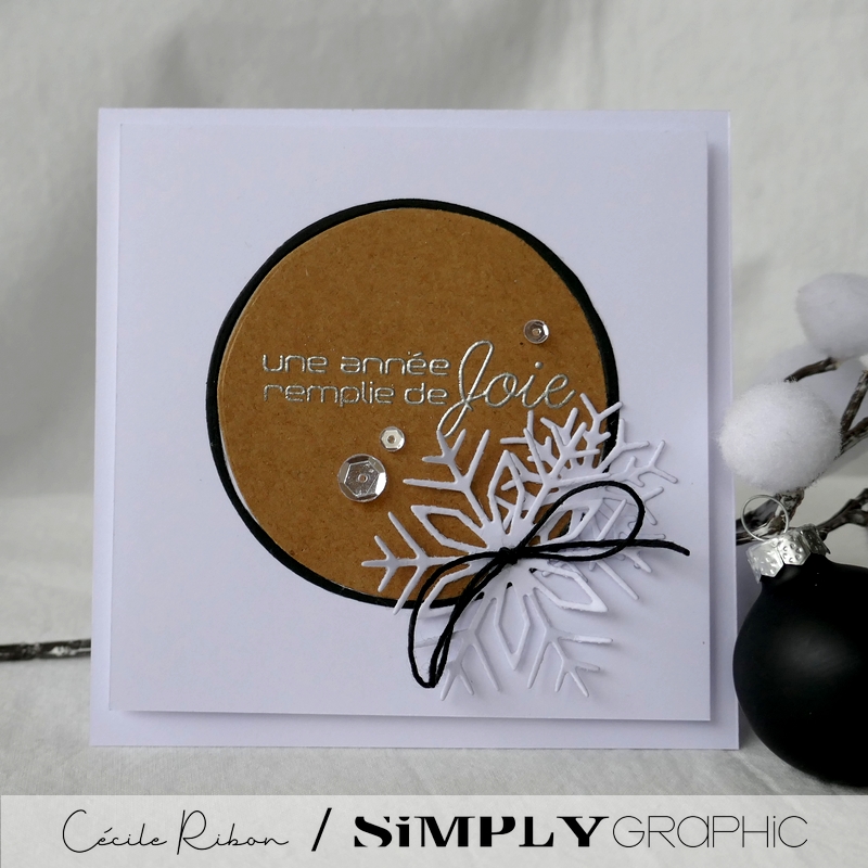 Carte SGAvent08 - P1290064