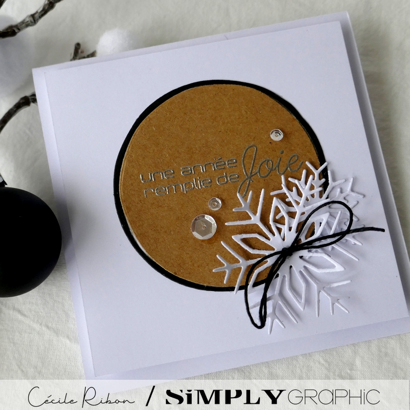 carte SGAvent08 - P1290073