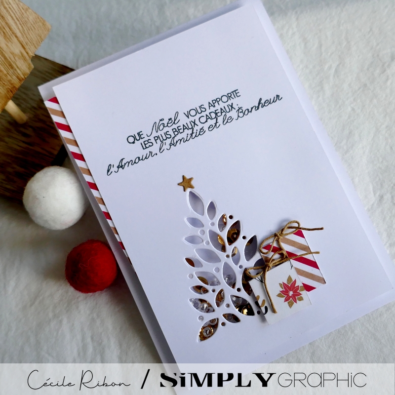 Carte SGAvent09 - P1290100