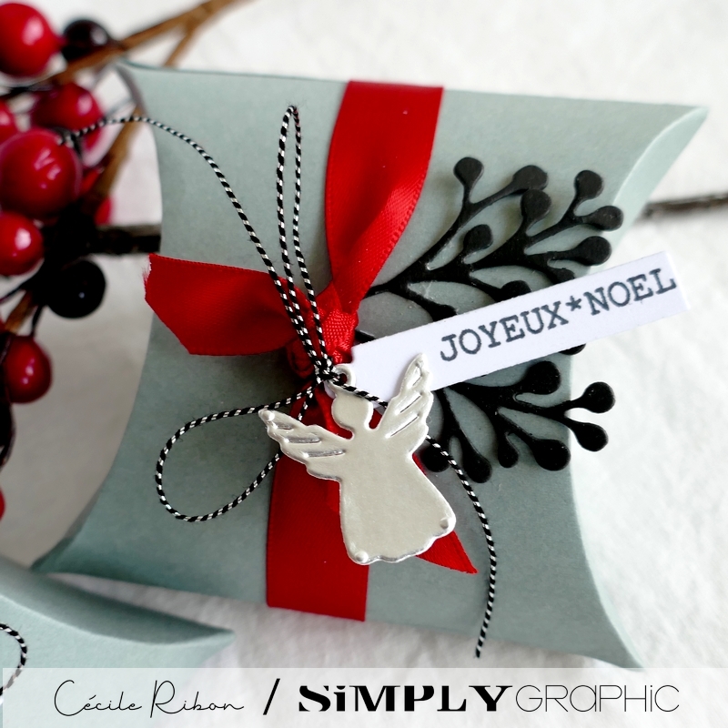 Carte SGAvent10 - P1290119