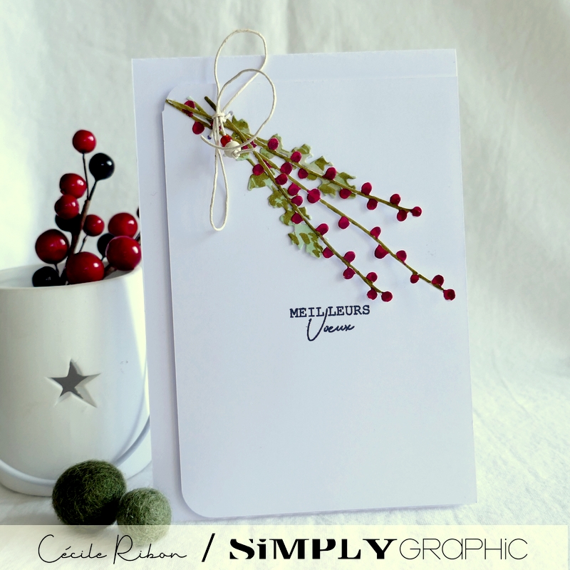 Carte SGAvent11 - P1290157