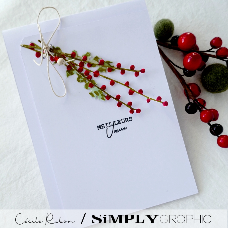 Carte SGAvent11 - P1290172