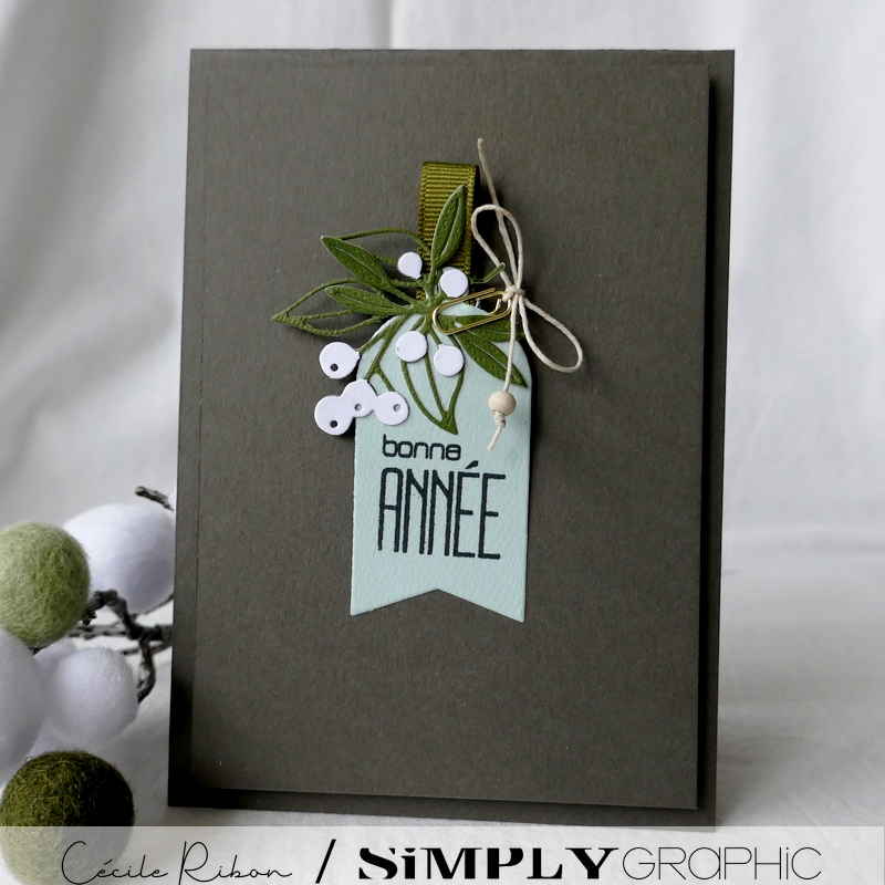 Carte SGAvent14 - P1290272