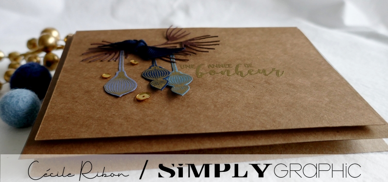 Carte SGAvent15 - P1290308