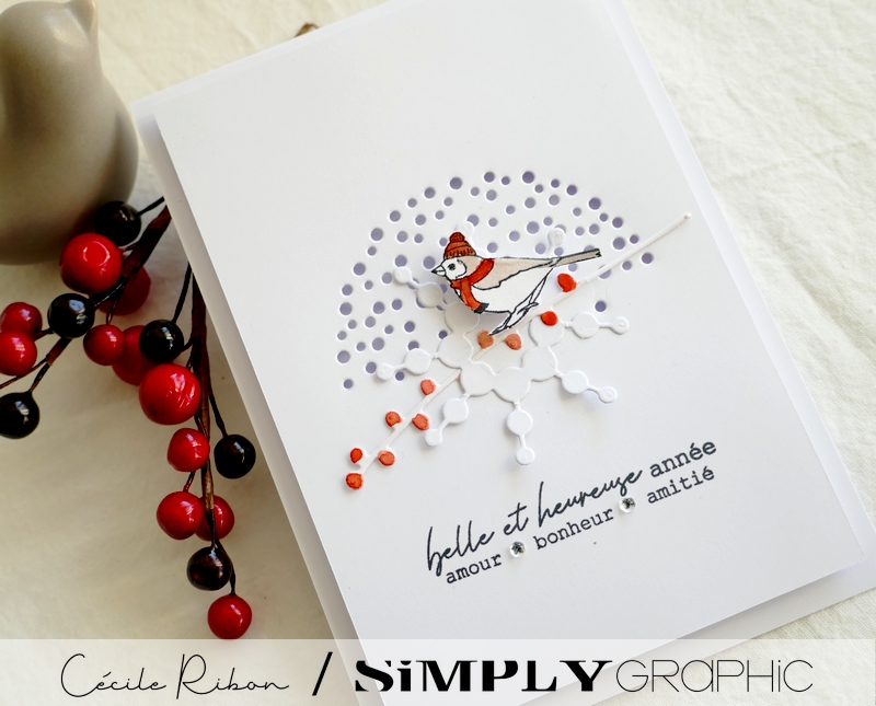 Carte SGAvent18 - P1290425