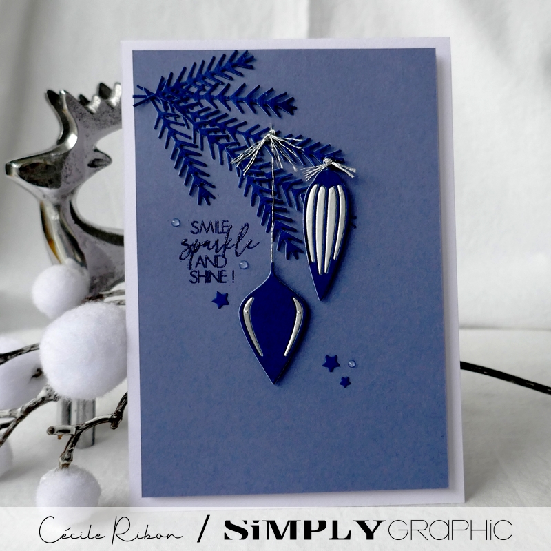 Carte SGAvent21 - P1290512