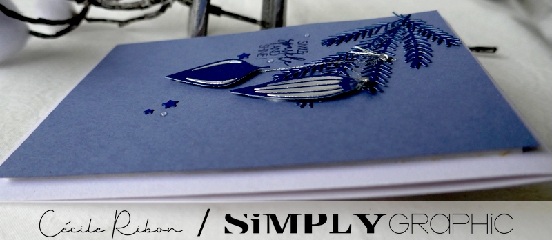 Carte SGAvent21 - P1290518