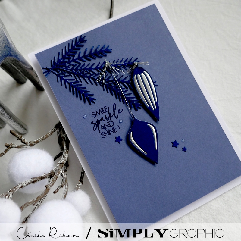 Carte SGAvent21 - P1290525