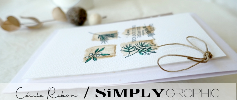 Carte SGAvent22 - P1290538