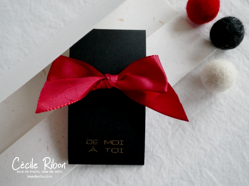 Pochette02 - P1280421