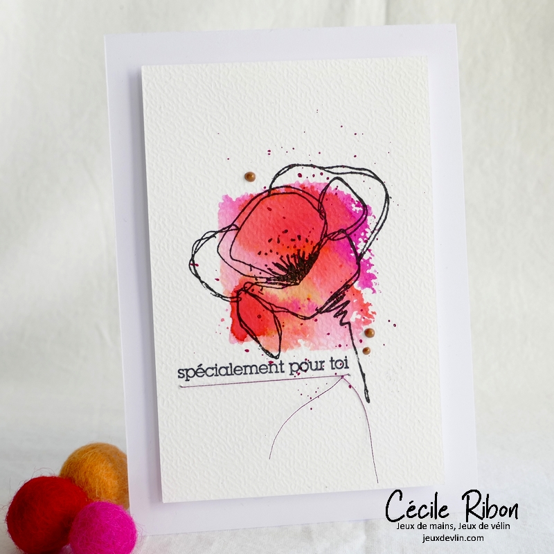 Carte CBBB63 - P1300255