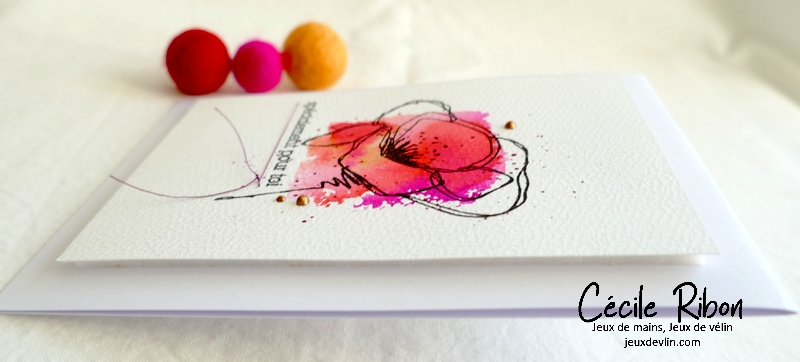 Carte CBBB63 - P1300266