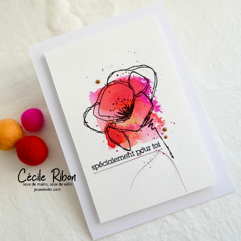 Carte CBBB63 - P1300272