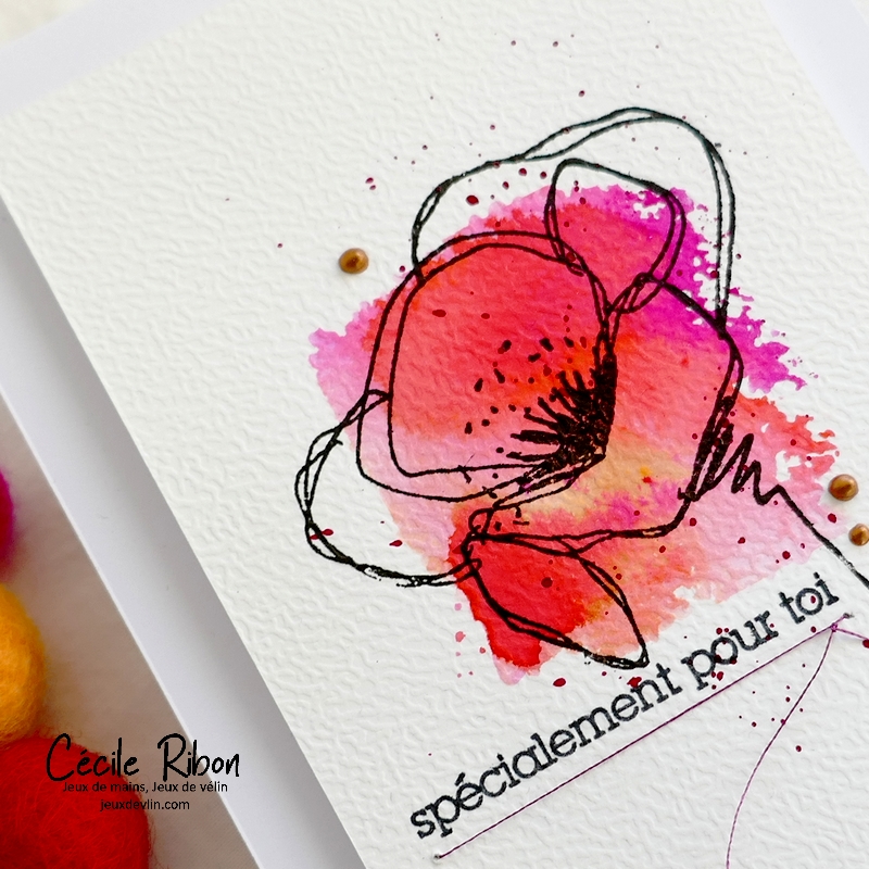 Carte CBBB63 - P1300277