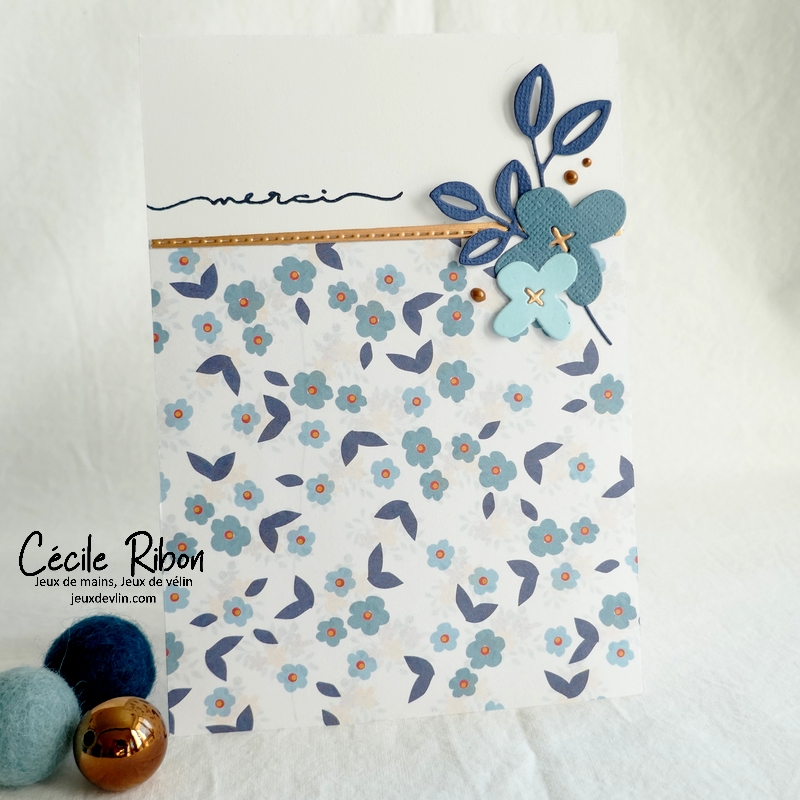 Carte CC&S454 - P1300181