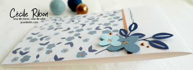 Carte CC&S454 - P1300189