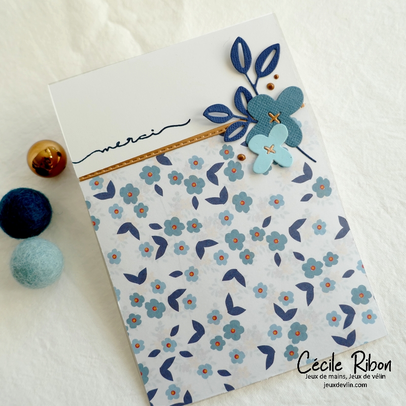 Carte CC&S454 - P1300190