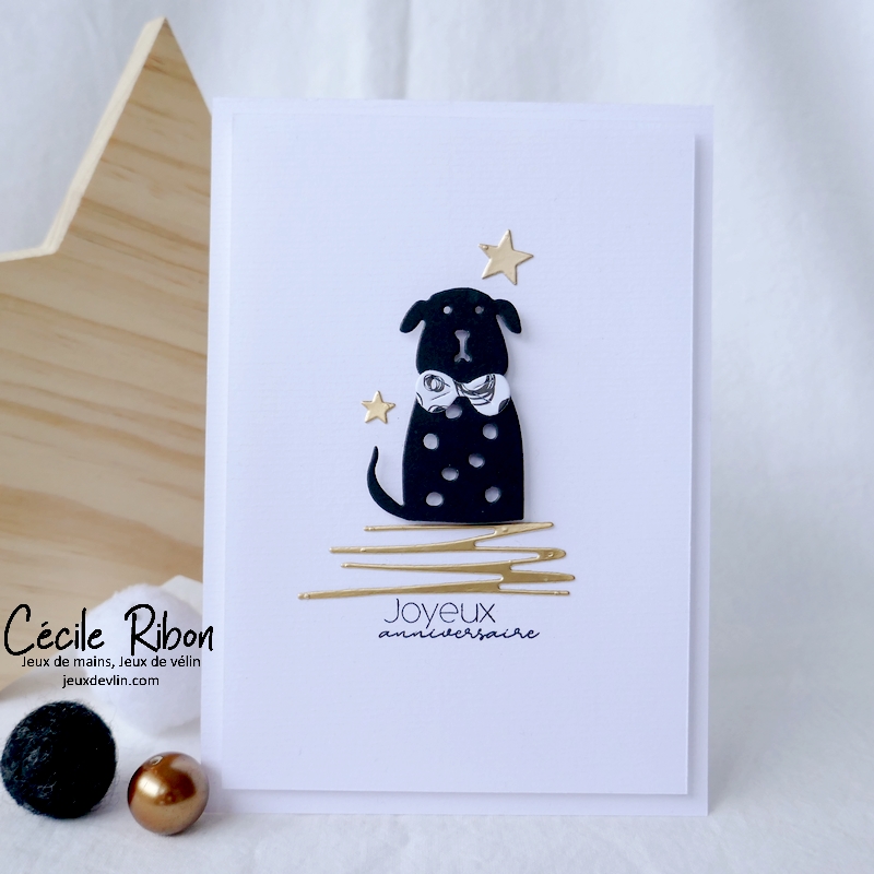 carte CTD674 - P1290898