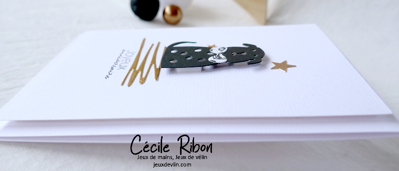 Carte CTD674 - P1290900