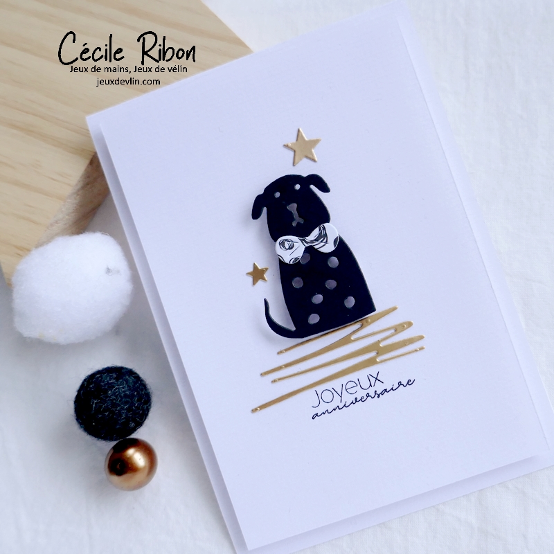 Carte CTD674 - P1290913