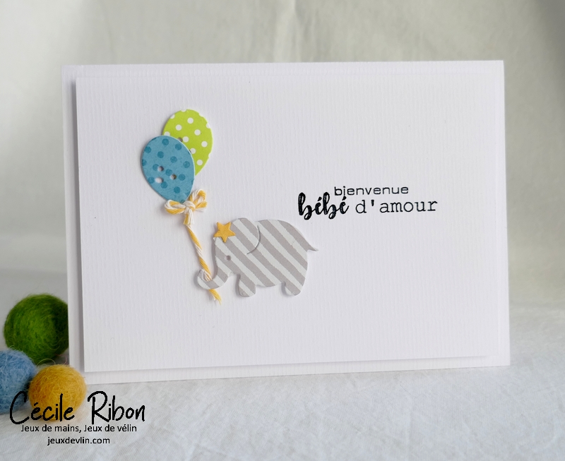 Carte CTD675 - P1290995