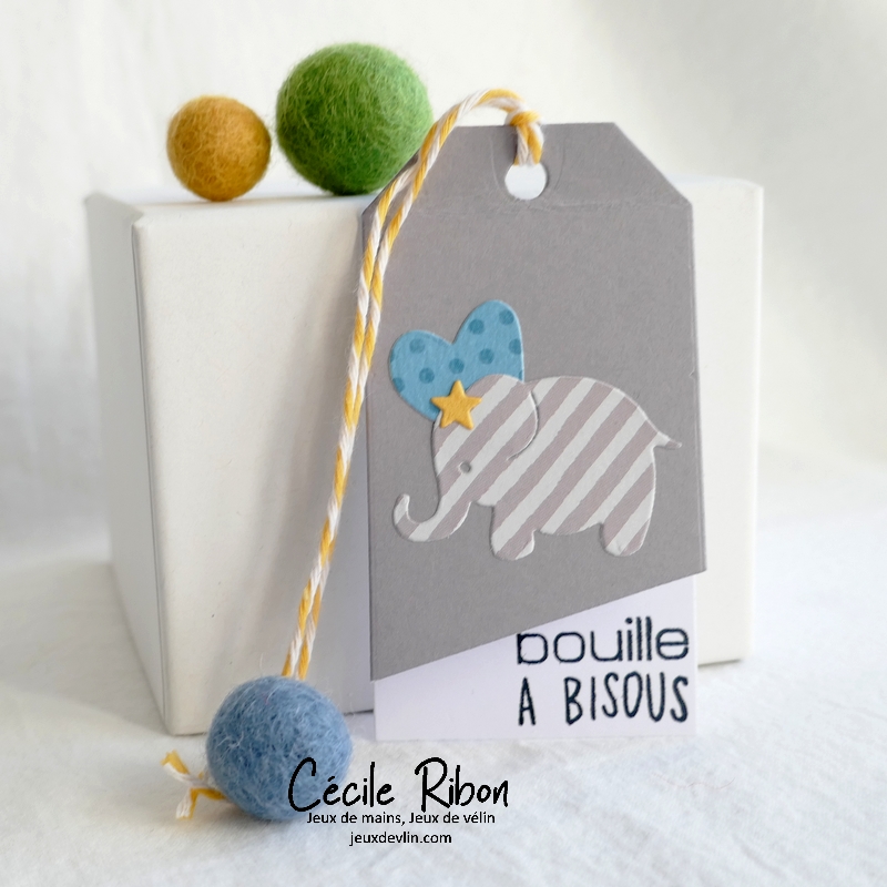 Carte CTD675 - P1300017