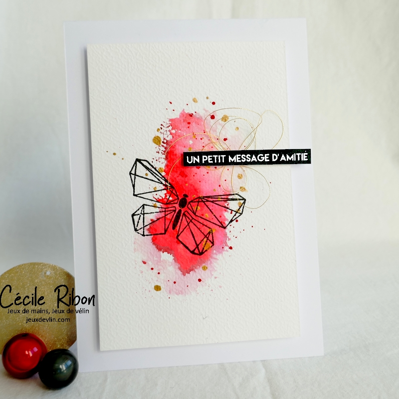 Carte CTD676 - P1300158