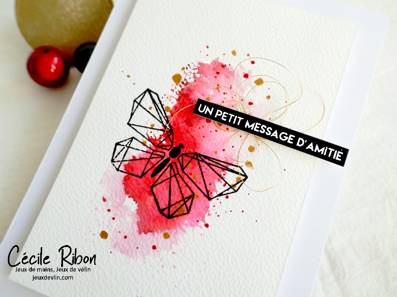 Carte CTD676 - P1300170