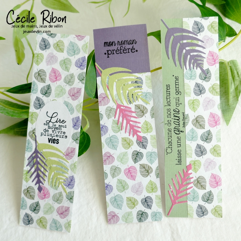 Carte CTD677 - P1300288