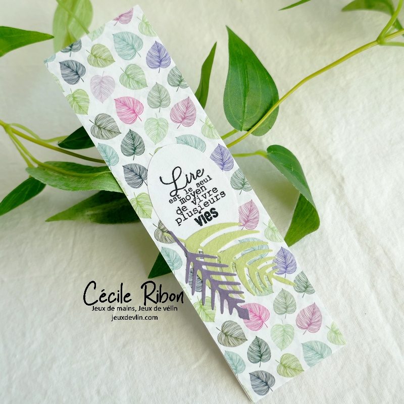 Carte CTD677 - P1300292