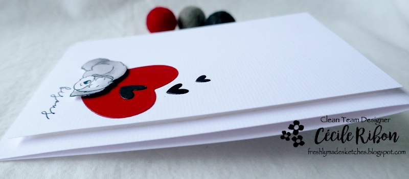 Carte FMS518 - P1290949