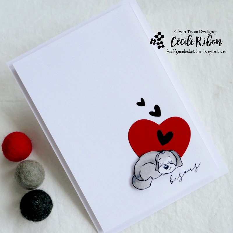 Carte FMS518 - P1290952