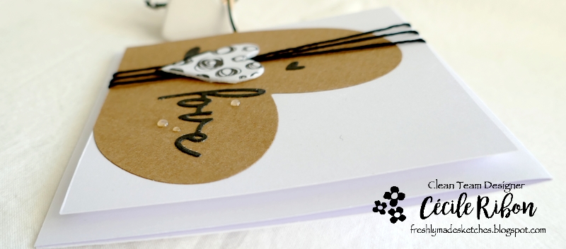 Carte FMS520 - P1300215