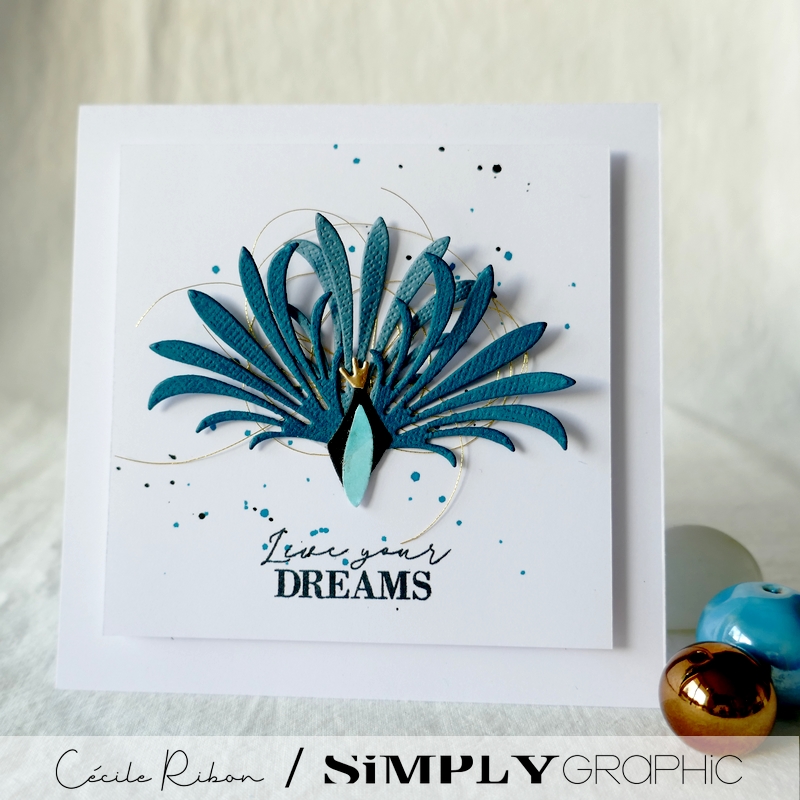 Carte SG08 - P1290834