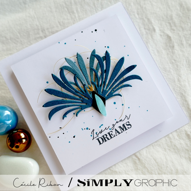 Carte SG08 - P1290844