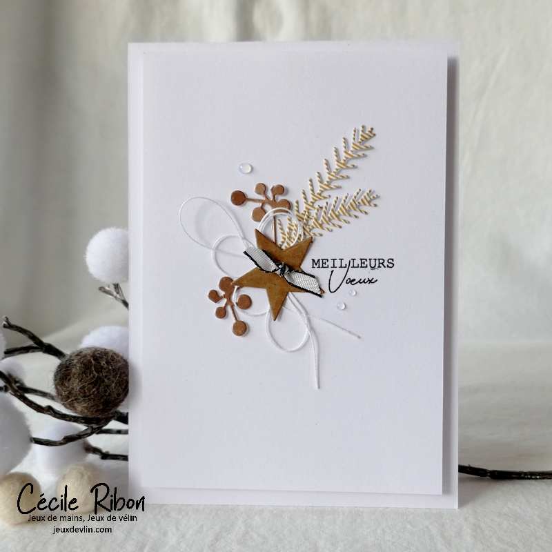 Carte Voeux01 - P1290751