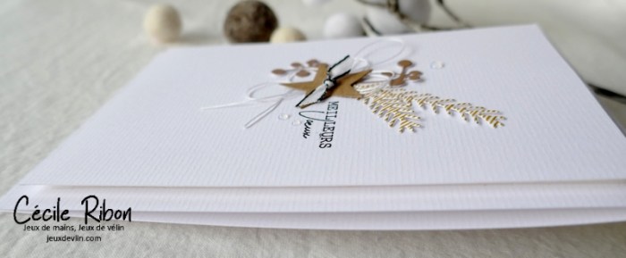 Carte Voeux01 - P1290756