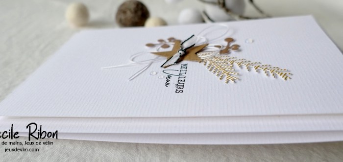 Avec des restes … #28