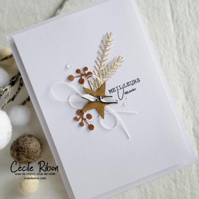 Carte Voeux01 - P1290761