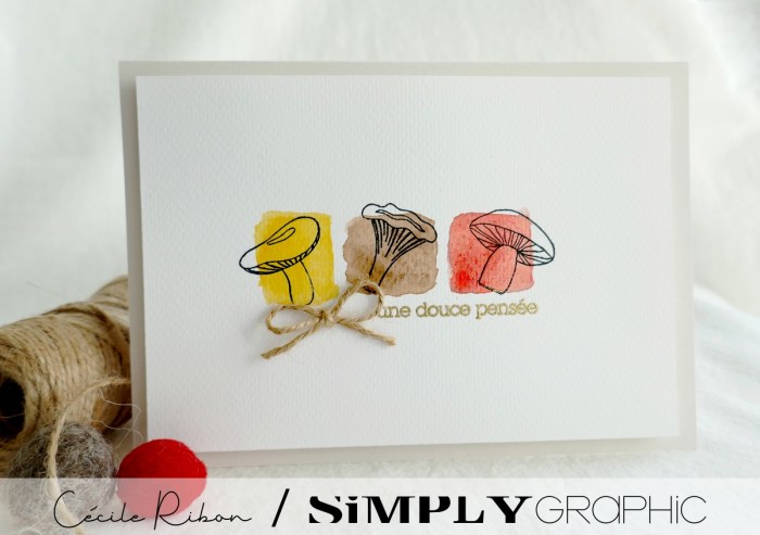 TutoSG05 5B - P1270642