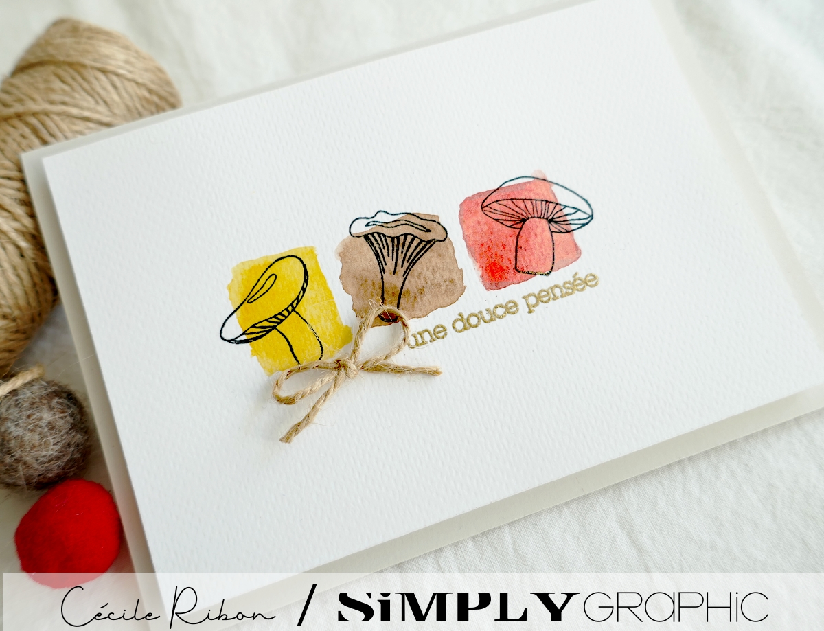 TutoSG05 5B - P1270654