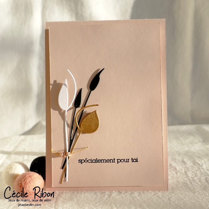 Carte CBBB65 - P1310089