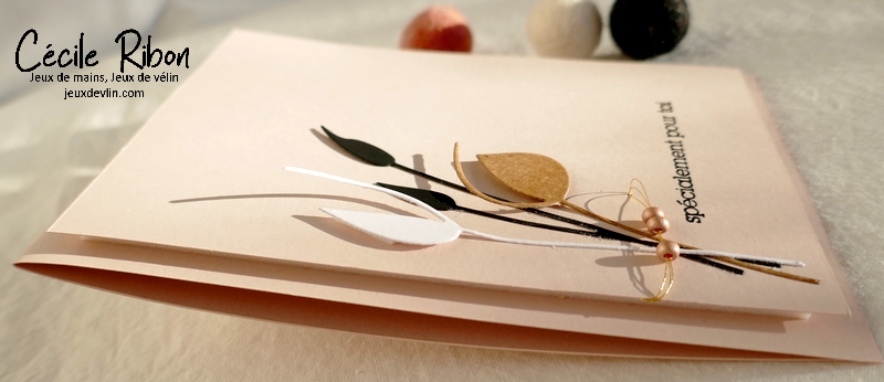 Carte CBBB65 - P1310102