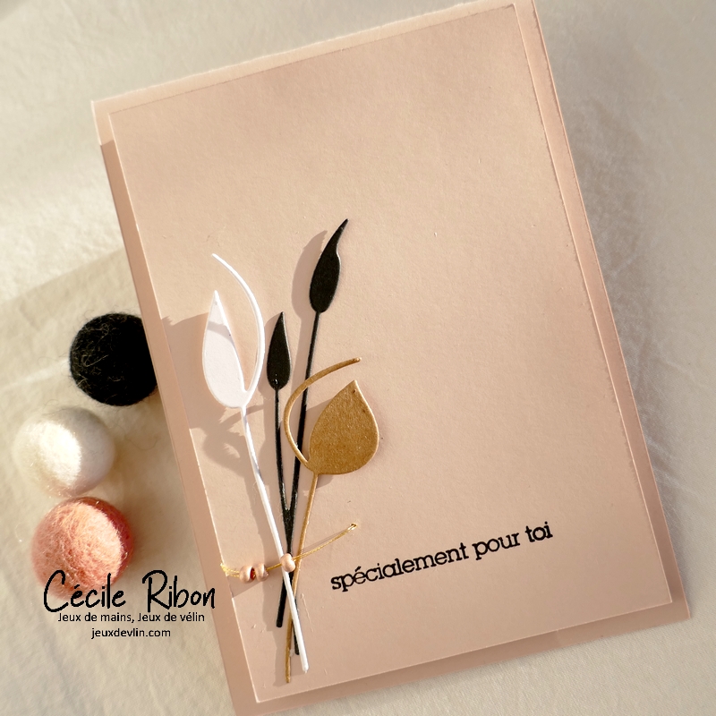 Carte CBBB65 - P1310104