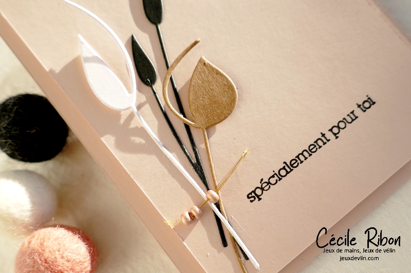 Carte CBBB65 - P1310111