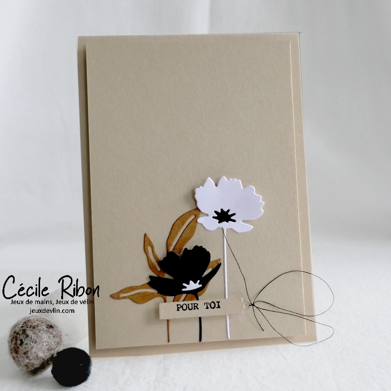 Carte CC&amp;S456 - P1300508